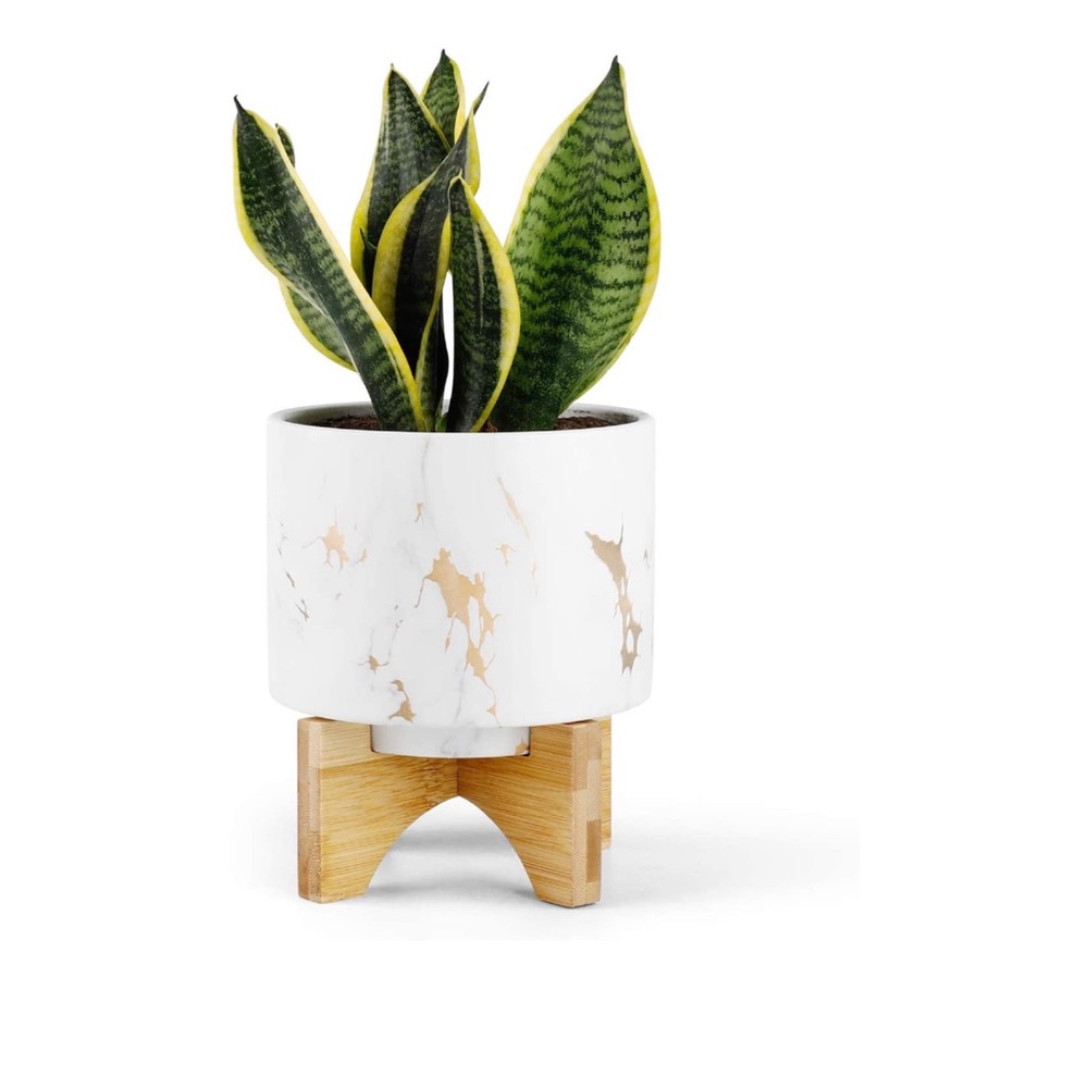Medium Plant Pot